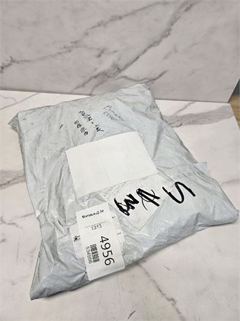 Mystery Undelivered Package � Temu or TikTok Shop Surprise Box