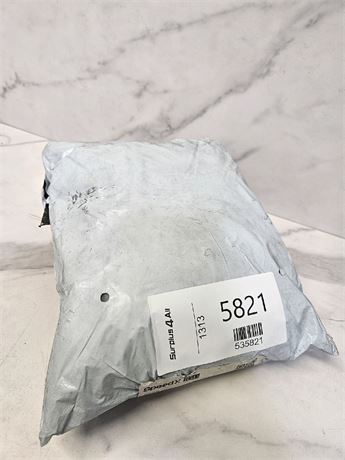 Mystery Undelivered Package � Temu or TikTok Shop Surprise Box