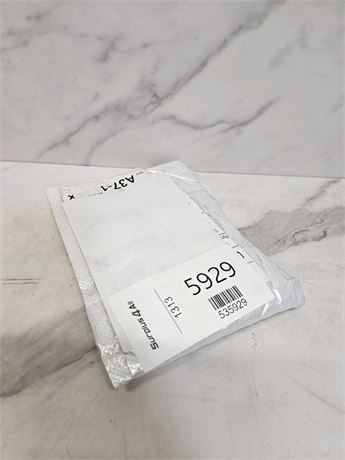 Mystery Undelivered Package � Temu or TikTok Shop Surprise Box
