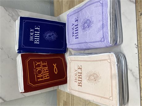 Holy Bible Plush Pillow