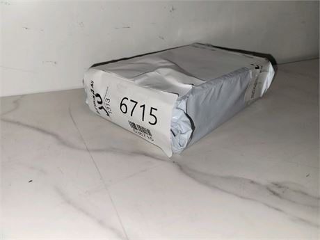 Mystery Undelivered Package � Temu or TikTok Shop Surprise Box