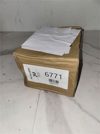 Mystery Undelivered Package � Temu or TikTok Shop Surprise Box