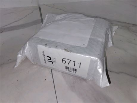 Mystery Undelivered Package � Temu or TikTok Shop Surprise Box