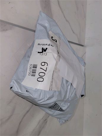 Mystery Undelivered Package � Temu or TikTok Shop Surprise Box