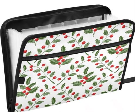 Expanding File Folder,13 Pocket Accordion File