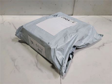 Mystery Undelivered Package � Temu or TikTok Shop Surprise Box