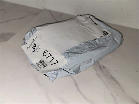 Mystery Undelivered Package � Temu or TikTok Shop Surprise Box