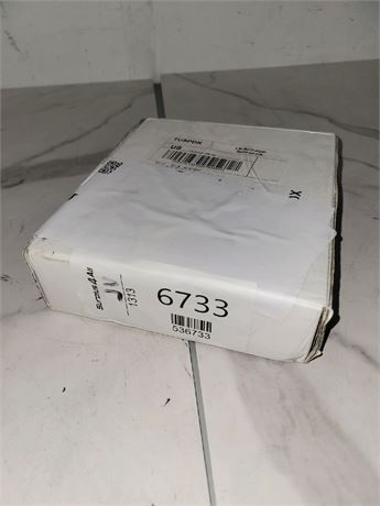 Mystery Undelivered Package � Temu or TikTok Shop Surprise Box