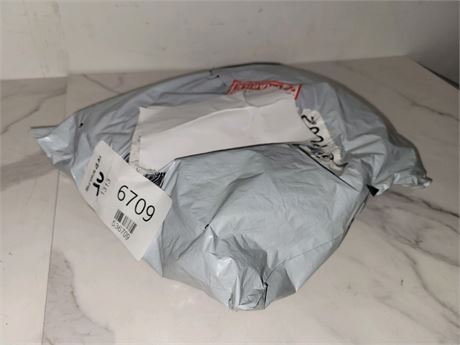 Mystery Undelivered Package � Temu or TikTok Shop Surprise Box
