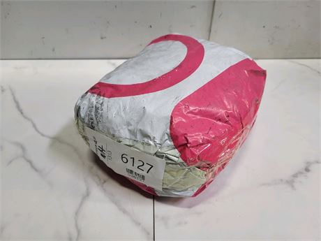 Mystery Undelivered Package � Temu or TikTok Shop Surprise Box