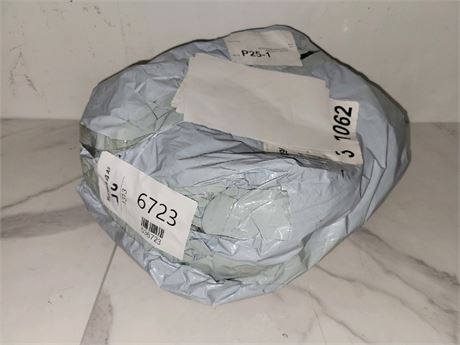 Mystery Undelivered Package � Temu or TikTok Shop Surprise Box