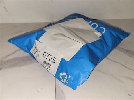 Mystery Undelivered Package � Temu or TikTok Shop Surprise Box