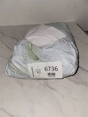 Mystery Undelivered Package � Temu or TikTok Shop Surprise Box