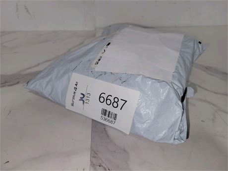 Mystery Undelivered Package � Temu or TikTok Shop Surprise Box