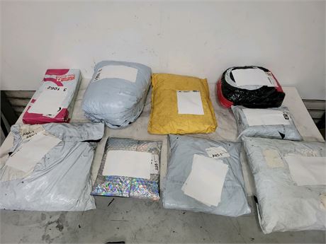 Mystery Undelivered Package Temu or TikTok Shop Surprise Box