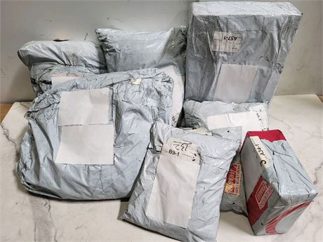 Mystery Undelivered Package Temu or TikTok Shop Surprise Box
