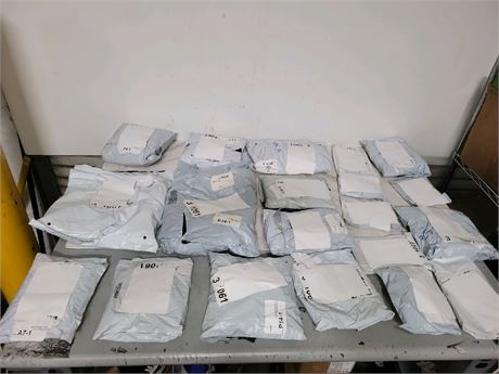 Mystery Undelivered Package Temu or TikTok Shop Surprise Box
