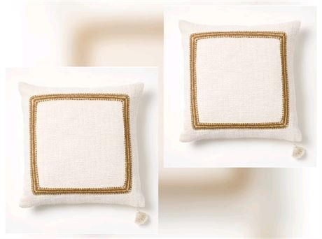 Set Of 2 Embroidered Frame Square Throw Pillow