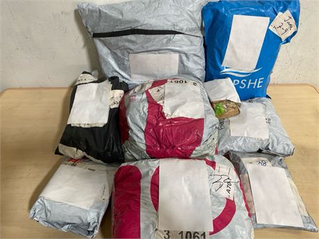 Mystery Undelivered Package Temu or TikTok Shop Surprise Box