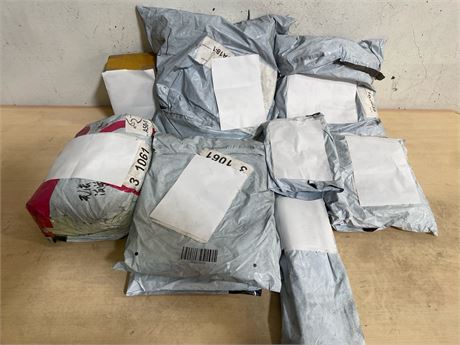 Mystery Undelivered Package Temu or TikTok Shop Surprise Box